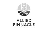 Allied Pinnacle